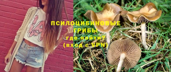 мескалин Богородицк