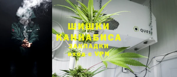прущий лед Богданович