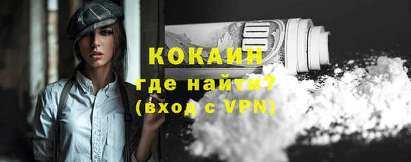 мескалин Богородицк