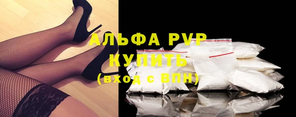 прущий лед Богданович