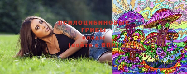 мескалин Богородицк