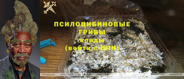 прущий лед Богданович