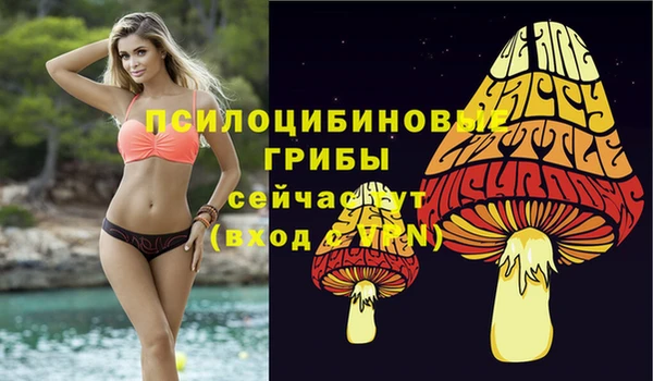 мескалин Богородицк