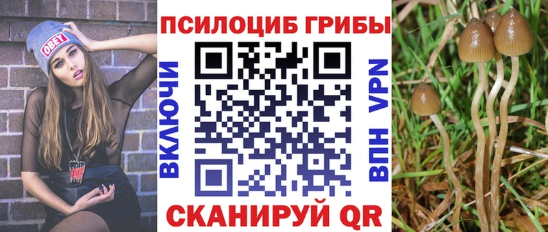 Псилоцибиновые грибы прущие грибы  Купино 