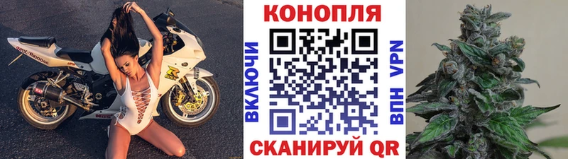 где купить   Купино  Шишки марихуана Bruce Banner 